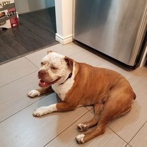 Meet your Posher, Linda